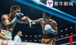 最新拳击爆料新闻视频,揭秘赛场幕后风云与精彩瞬间
