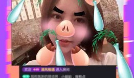 小熊被爆料的视频在线观看,揭秘网络红人真实一面