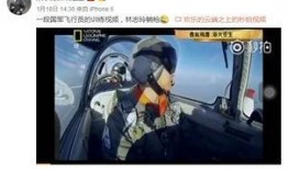 飞行员爆料原视频,揭秘航班惊险瞬间