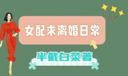 娱乐圈爆料类的小说推荐,揭秘明星背后的秘密与真相